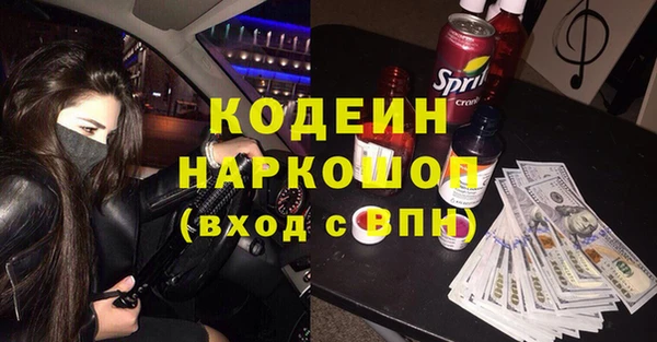 прущие грибы Надым